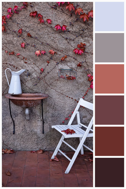 拼贴收藏组合秋色的明暗调色板图片下载