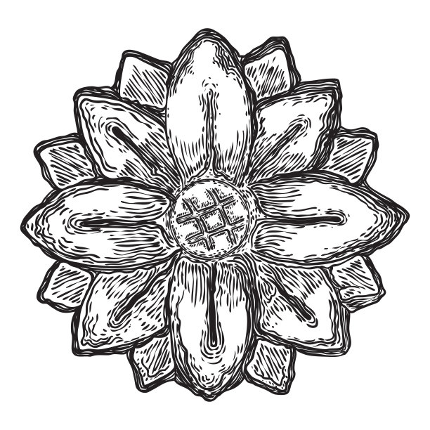 优雅复古的圆形花卉装饰，古典风格。圆形东方花元素的图案。圆形灰泥天花板成型玫瑰花形。向量。图片下载