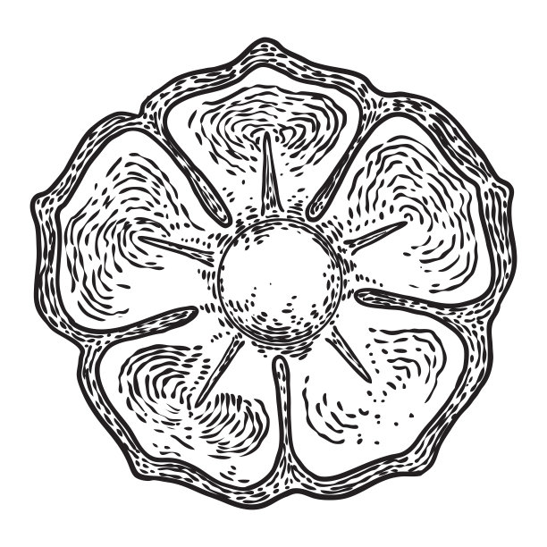 圆形装饰设计的图案，雕刻花孤立在白色的背景。传统风格的大理石石材装饰。复古巴洛克维多利亚花卉装饰复古装饰元素。向量。图片下载
