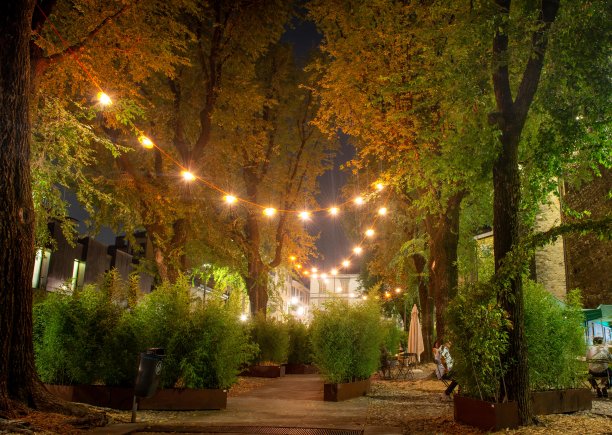 贝加莫老广场在晚上促进自然、美丽和生态，图片下载