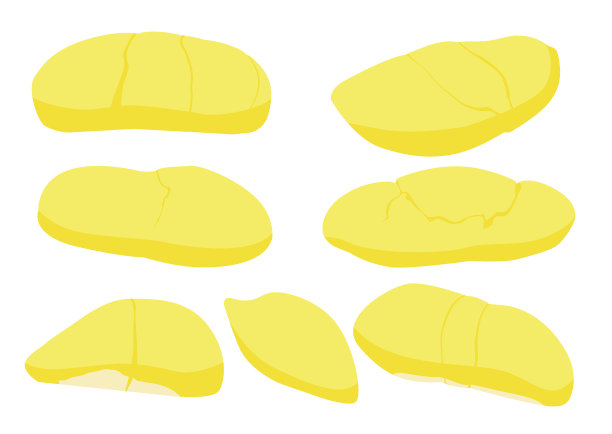 黄色的榴莲果实颜色和成熟的榴莲块上白色的背景插图向量图片下载