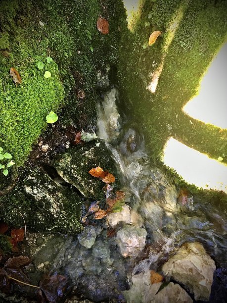 特劳恩河源头(奥地利/欧洲)图片下载