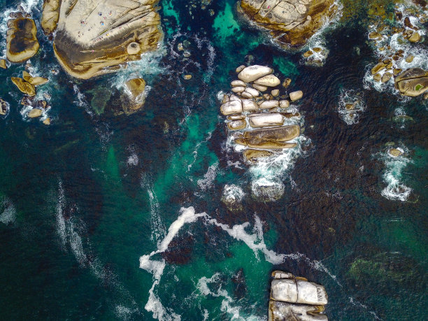 色彩的海洋图片下载