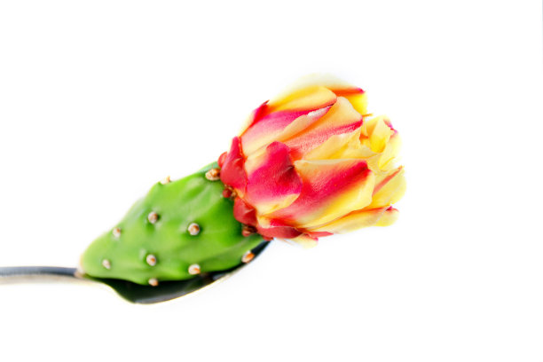 刺花勺，侧面，白色背景。图片下载