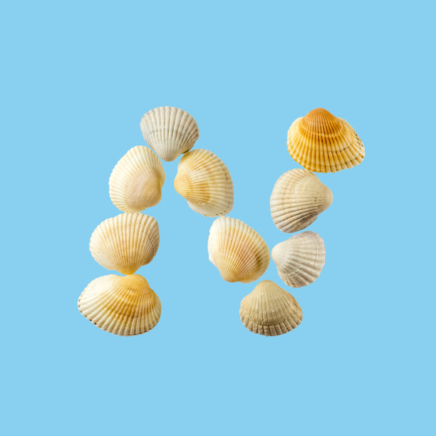 由贝壳组成的字母“n”，孤立在柔和的蓝色背景上图片下载