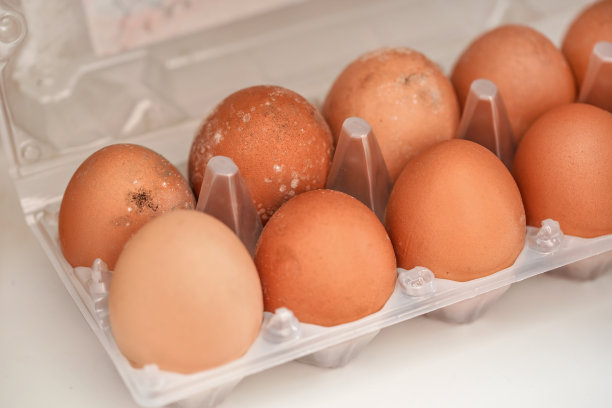 腐烂的鸡蛋长时间存放在潮湿的冰箱里会发霉。发霉的食物变坏了图片下载