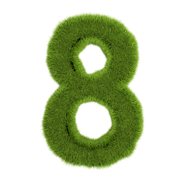 第8号，由白色背景上孤立的草制成。象征绿草覆盖。Eco的信。三维演示图片下载