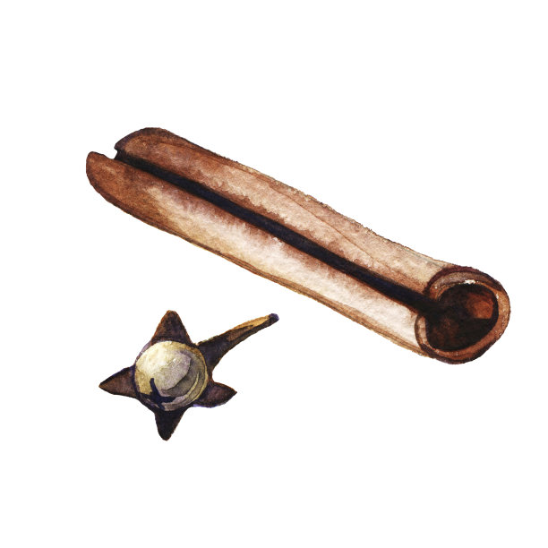 手绘水彩与肉桂，丁香孤立在白色背景。图片下载