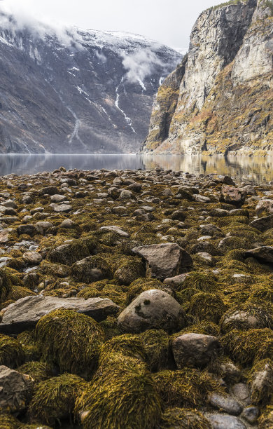 落潮时有海藻的岩石海岸峡湾和岩石图片下载