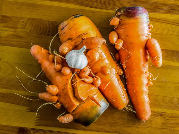 不寻常的胡萝卜图片下载