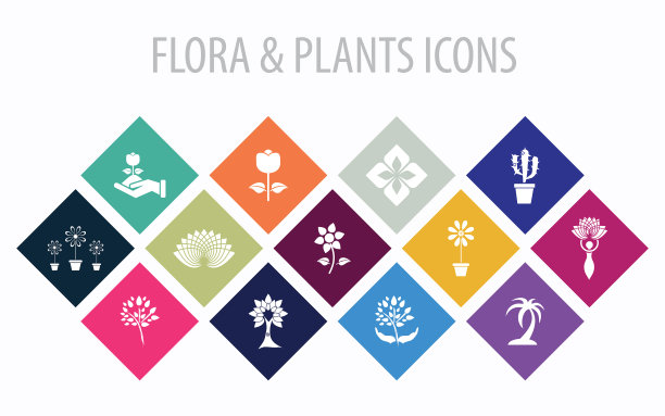 多色非常有用的植物和植物矢量图标设置移动应用程序。平面设计，网页设计和软件。图片下载