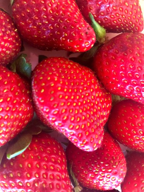 甜蜜的草莓图片下载