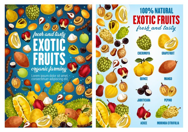 异国情调的热带水果，农贸市场图片下载