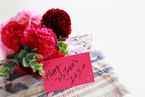 人造康乃馨花和睡衣图片下载