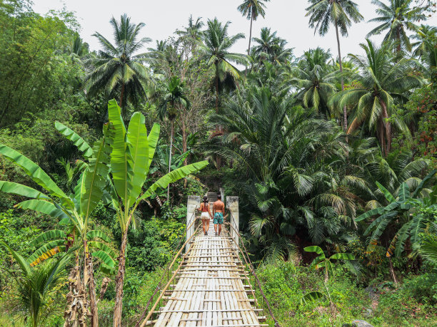 旅游情侣在热带丛林的木桥上，有香蕉树和棕榈树。图片下载