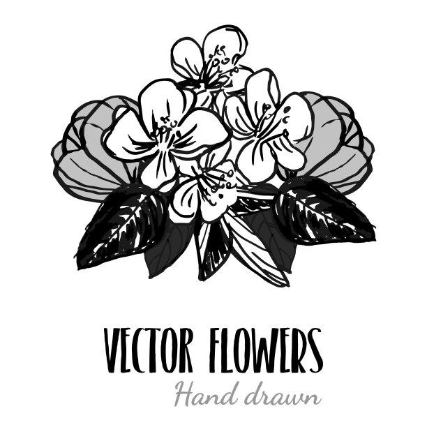 花盆花束与叶子t恤印花风格，矢量插图黑色线条轮廓孤立在白色上图片下载