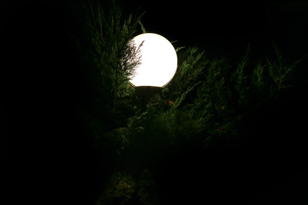 花园里的圆形街灯图片下载