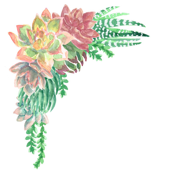 水彩多汁的花束图片下载