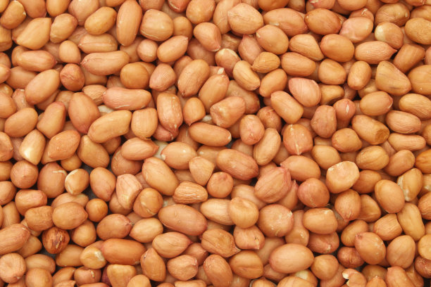 花生的背景图片下载