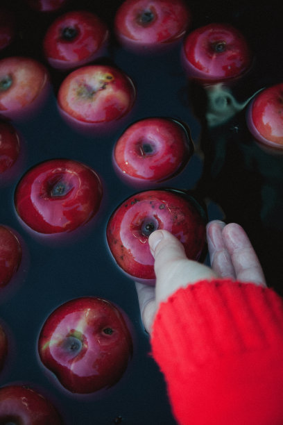 一位穿着毛衣的女性手从水中拿出了红色的秋天苹果，带有一种黑色的乡村色调图片下载