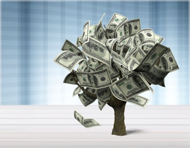 钱的树。图片下载
