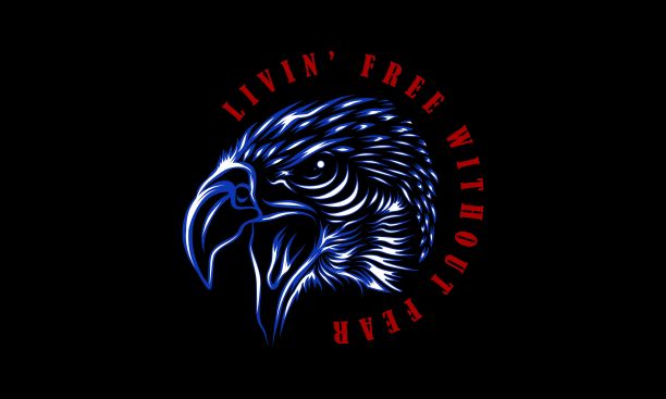 美国鹰t恤设计图片下载