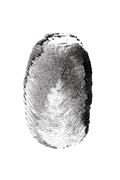 指纹图案孤立在白色图片下载