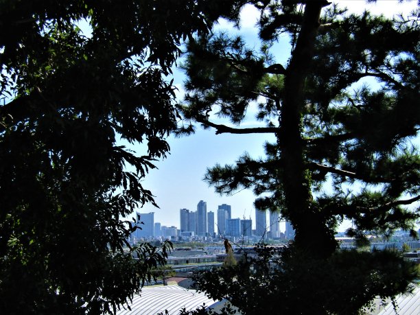 从东京的山上看川崎市。图片下载