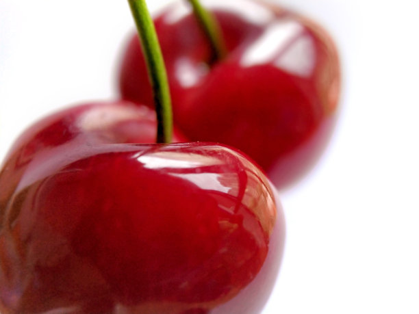 彻丽一家图片下载