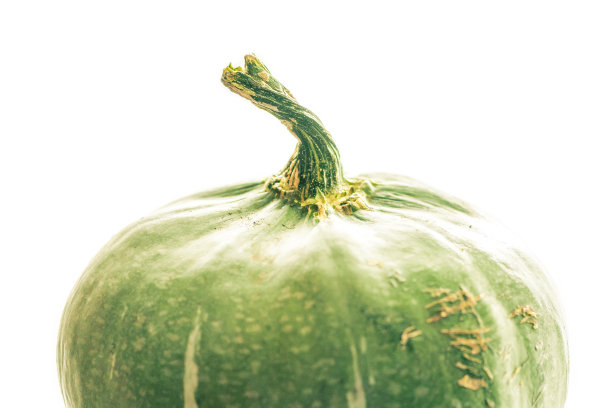 绿色南瓜图片下载