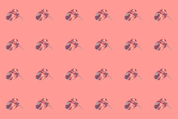 水平排列的青铜色图案与蓝色的怪物叶在时髦的桃红颜色的背景。图片下载