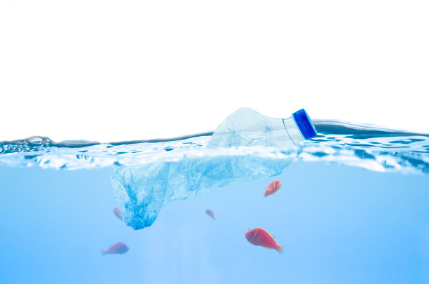 海洋和水下鱼类的塑料瓶污染图片下载