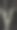 近距离观察一棵树，在晚上。图片下载