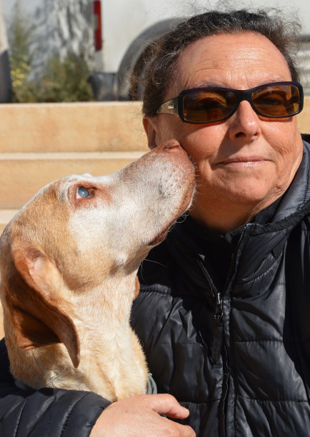 盲犬给予爱嗅女人图片下载