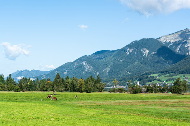 田园诗般的风景在阿尔卑斯山脉图片下载