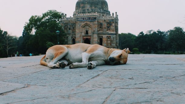 别惹麻烦图片下载
