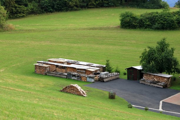 堆放在绿色草地上的柴堆中晾干的木头图片下载