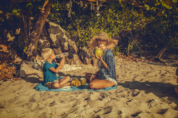 海滩上的家庭野餐图片下载