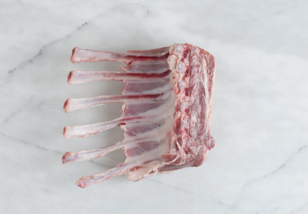 总理肋骨图片下载