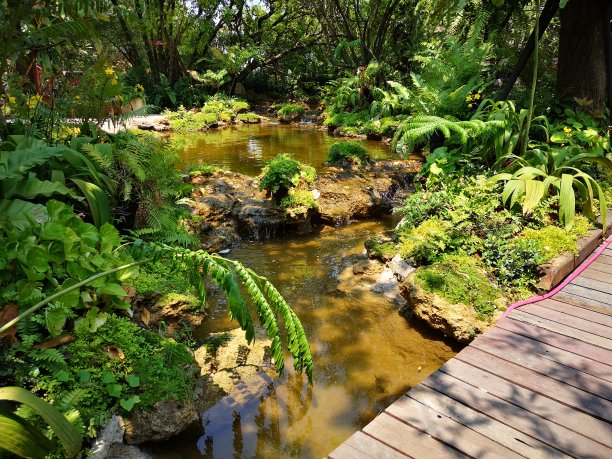 在花园里设计瀑布和锦鲤鱼池图片下载