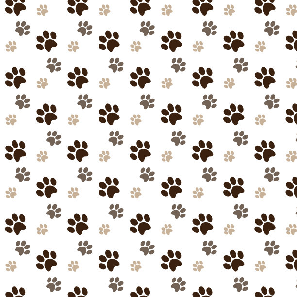 动物园动物图案装饰与棕色脚印狗图片下载