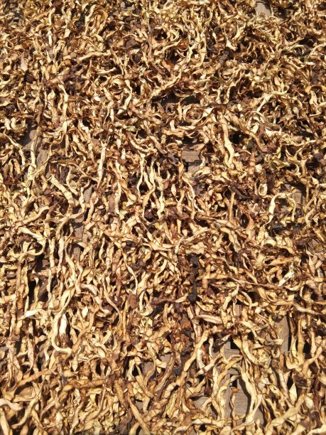 烟草纹理。干烟叶切成优质，封闭，背景图片下载