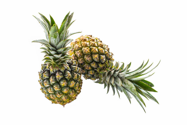 两个菠萝孤立在白色背景上图片下载