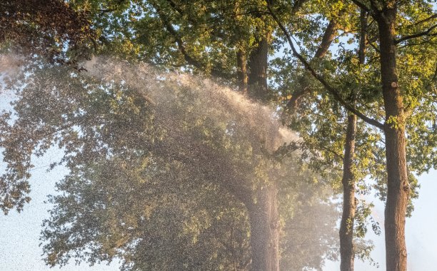 日落时分农田灌溉系统的剪影。玉米地灌溉采用中心枢轴喷灌系统图片下载
