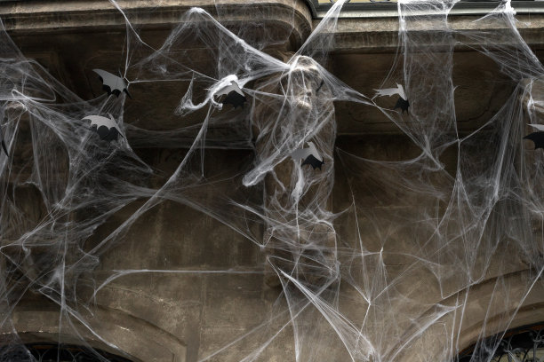 人造蜘蛛网和纸黑蝙蝠的房子墙上，万圣节装饰图片下载