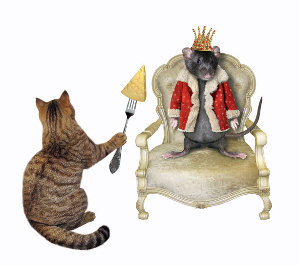 猫用奶酪喂鼠王图片下载