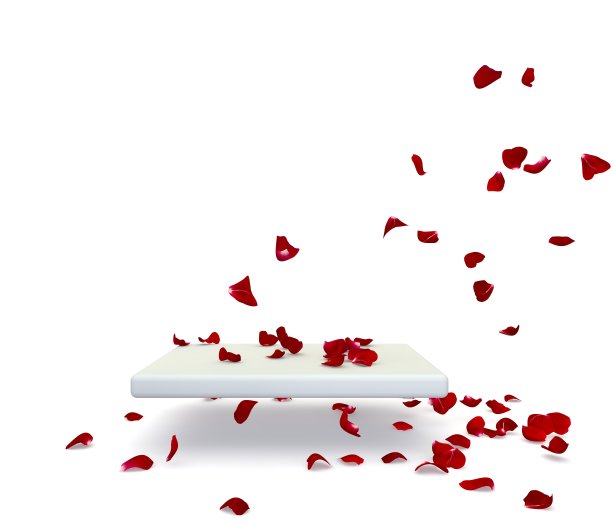 红玫瑰花瓣落在架子上。你的设计还有空间图片下载