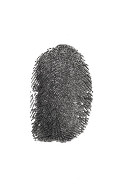 指纹图案孤立在白色图片下载