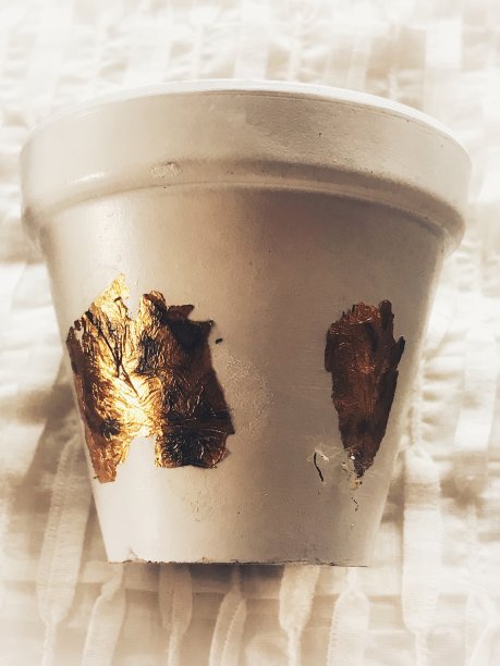 空白色陶土花盆镀金细节图片下载