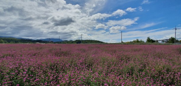 秋天的风景图片下载